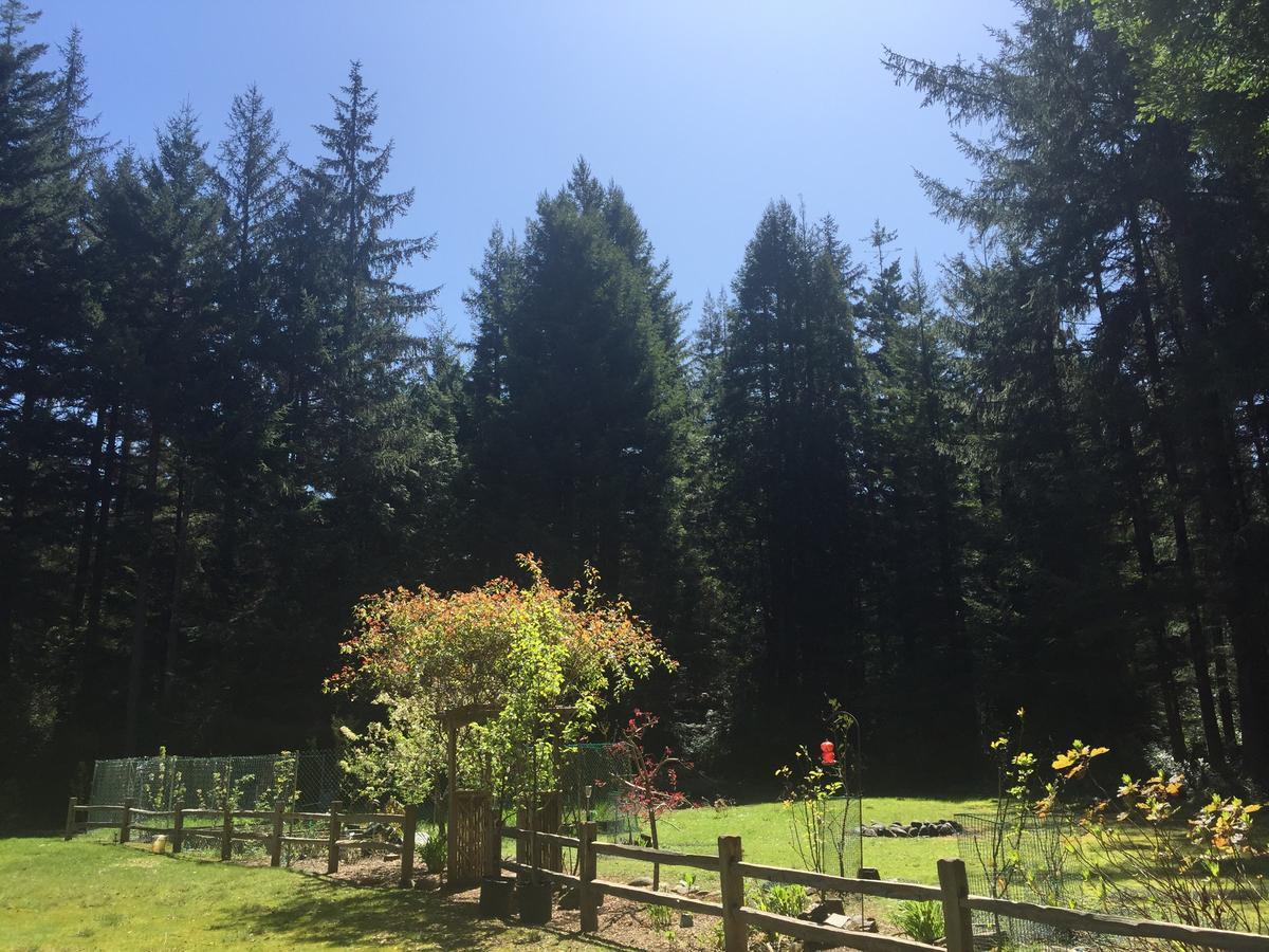 Redwood Forest เครสเซนต์ซิตี ภายนอก รูปภาพ